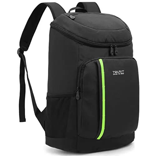 Best Cooler Backpack For Disney - 2026 Reviews & Buyer'S Guide - A Day Trip