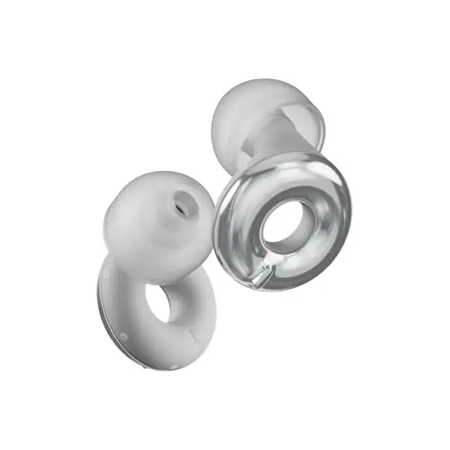 Loop Switch 2 adjustable earplugs in silver with a carry case.