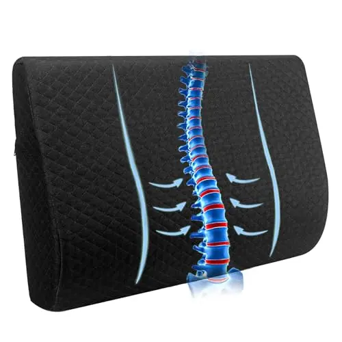 Cuckan black rectangular lumbar support pillow with removable cover